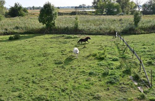 Holiday home in Poseritz - Insel Rügen 41511 - Foto 38