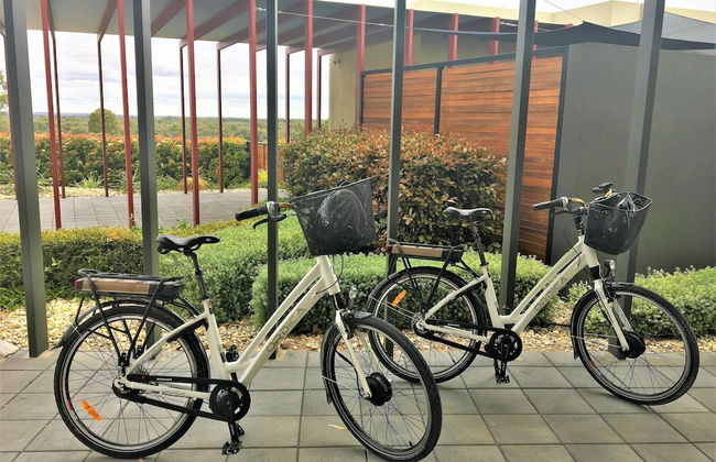 The Frames - Foto 36