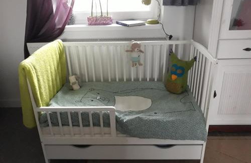 Pucówka na skraju Puszczy Białowieskiej - Foto 12