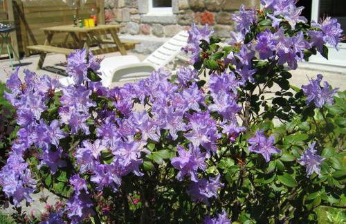 Lozère St Alban Aubrac Margeride gîte 4 étoiles 8 personnes au calme près nature - Foto 29