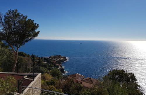 Vue mer.Tranquilité.Cap d'Ail à 10 mn de MONACO - Foto 13
