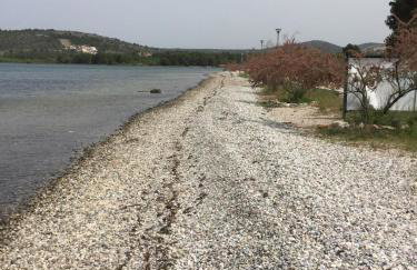 Lipovac resort Ficus - Foto 70