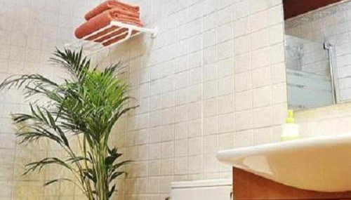 Apartamento ll - Photo 5