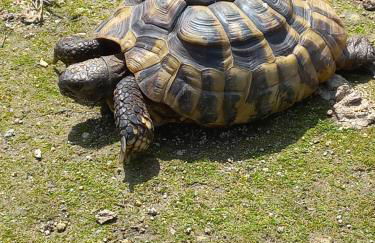 Quinta da Tapada - Foto 41