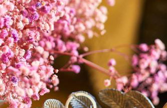 BBarcelona Clot Apartments - Foto 120