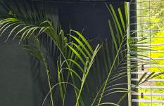 The Annexe at Fishponds - Photo 13