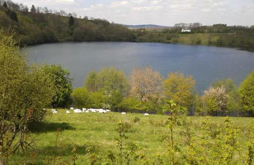 Eifeler Finnhaus mit Sauna, Mühlenberg 13 - Foto 43