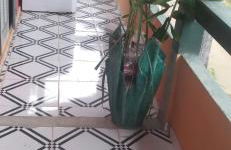 Casa andorinhas - Foto 11