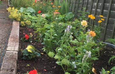 Rose Cottage - Foto 22