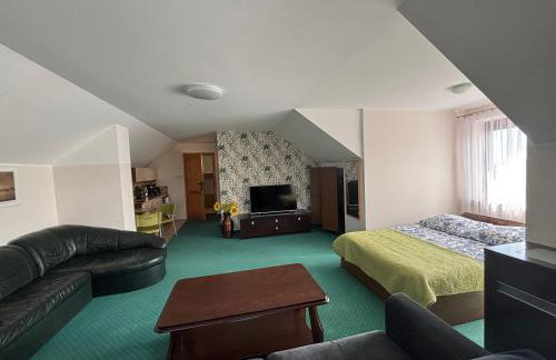 Apartamenty LeVilla - Photo 9