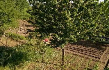 Casa Fasano Amalfi Coast - Foto 52