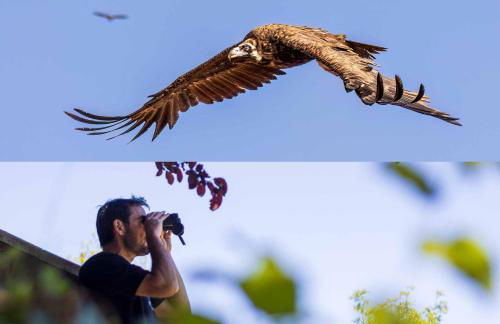 Casa Rural Baró - Foto 12