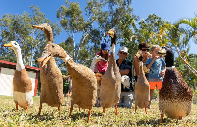 BIG4 Adventure Whitsunday Resort - Photo 76