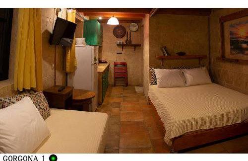 Medusa Gorgon - Photo 32