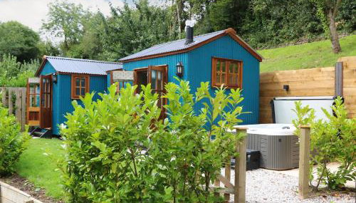 Little Silver Pheasant - Foto 4