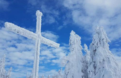 Apartment, 2 bedrooms, kitchen+2 bathrooms - Photo 14