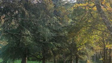 Gîte La Closerie des Cèdres - Foto 2, Garden view