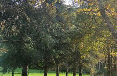 Gîte La Closerie des Cèdres - Foto 2