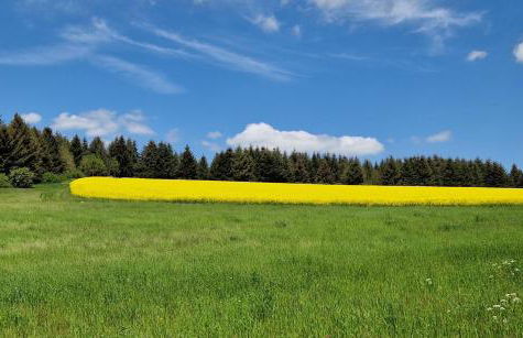 Ferienhaus Egger - Foto 27