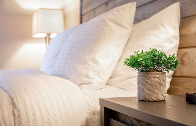 Stay Avenida Westshore - Photo 3