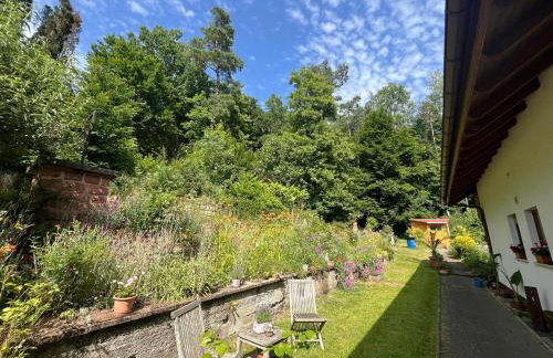 Apartment Waldidyll - Foto 16