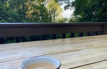 Fireplace Catskill Views Overlook Lake Cabin - Foto 35