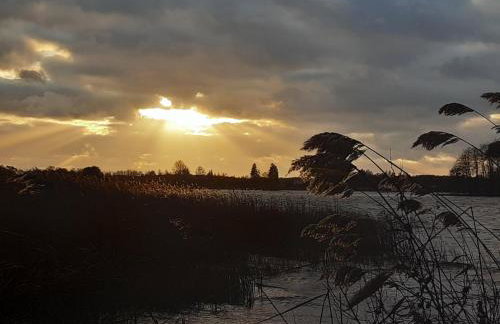 Dziki brzeg Jezioraka - Foto 32