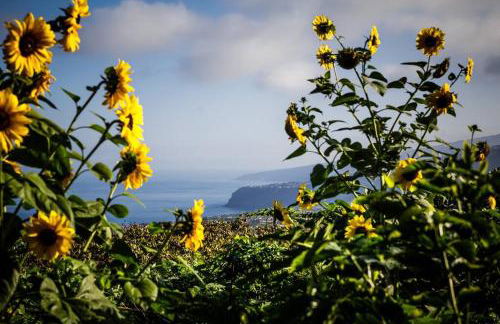 Finca Marañuela - Foto 4