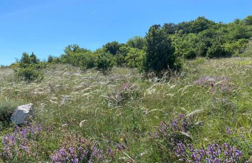 Villa Castelina - Foto 31