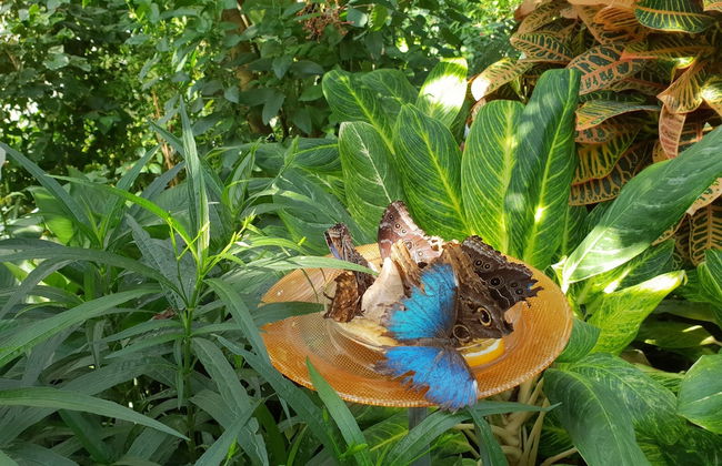 Lakeside Smoker Apartment FDH - Photo 18