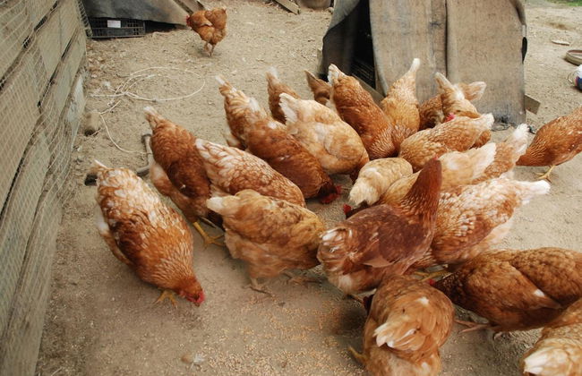 La Casona de Amaido - Foto 42