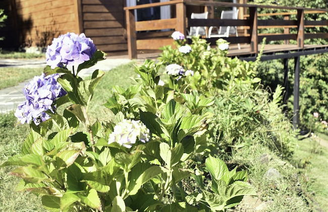 Cabañas Villa Pañil - Foto 69