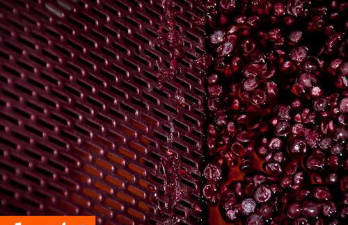 La Cerreta - Terme di Sassetta - Foto 99