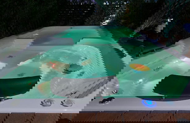 Rosa Internacional - Surfland - Photo 24