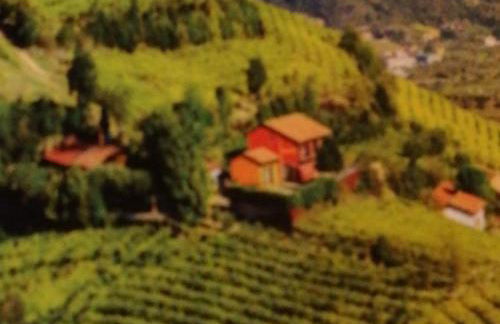 Agriturismo la Preara - Foto 6