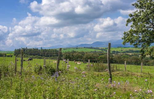 Dol Y Mynydd The Mountain Meadow - Cottage - Photo 20