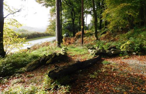 Red Dragon Cottages nr Mt Snowdon - Photo 72