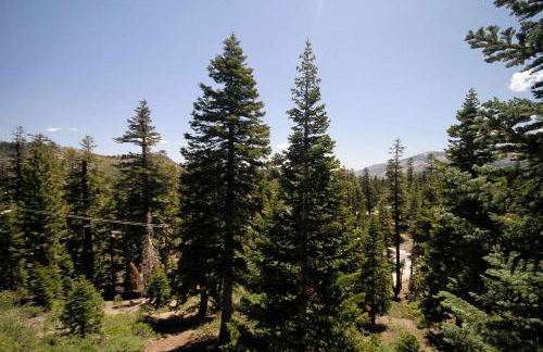 Mammoth Ski Racquet Club 54 - Foto 1