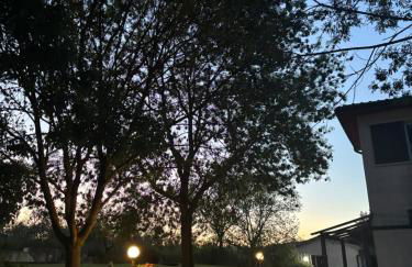 Agriturismo La Locandiera - Foto 79