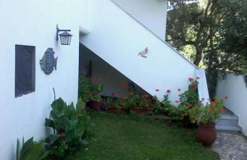 Studios Kofos Limin - Foto 6