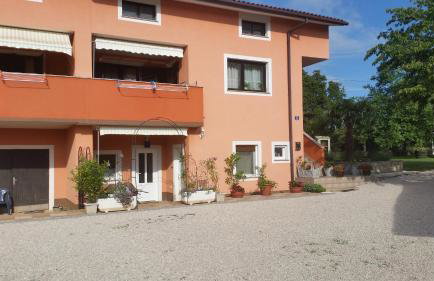 Apartments Davor - Photo 21