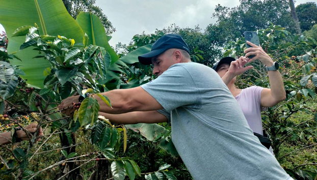 Tour del café por San Rafael - Foto 4