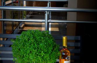 Vasilicos Sea Stay - Foto 6