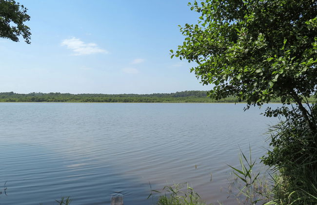 Côté du Lac - Foto 17