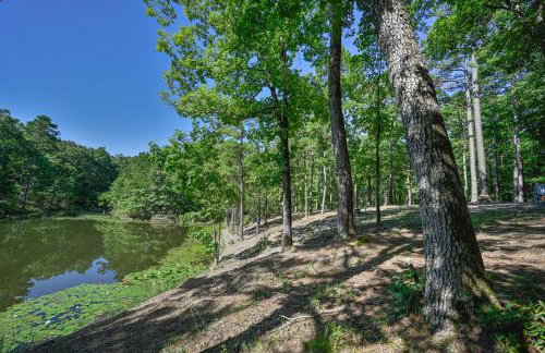 Little Wolf Cabins and ATV Rentals - Foto 48