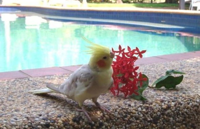 Hidden Valley Holiday Park - Foto 45