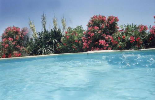 La Maison des Armas - Foto 29