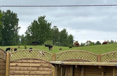 Siedlisko na Górce - Foto 19