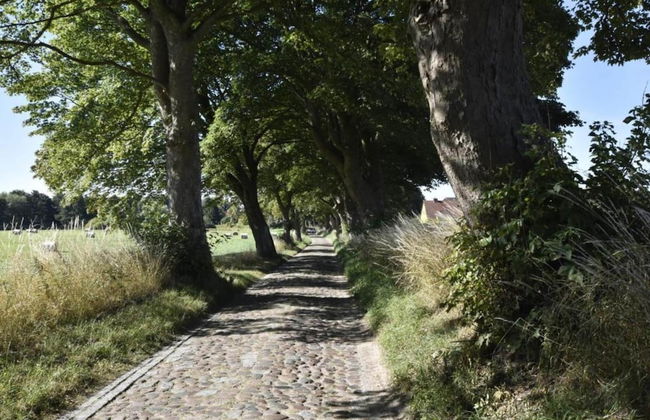 Wohnung Nahe Ostsee Kuhlungsborn - Foto 30