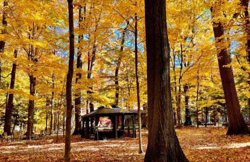 Log Cabin - Natures Oasis - Fire Pit & Gazebo - Foto 50